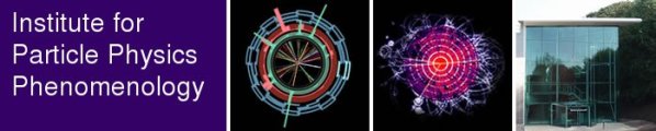 Institute for Particle Physics Phenomenology