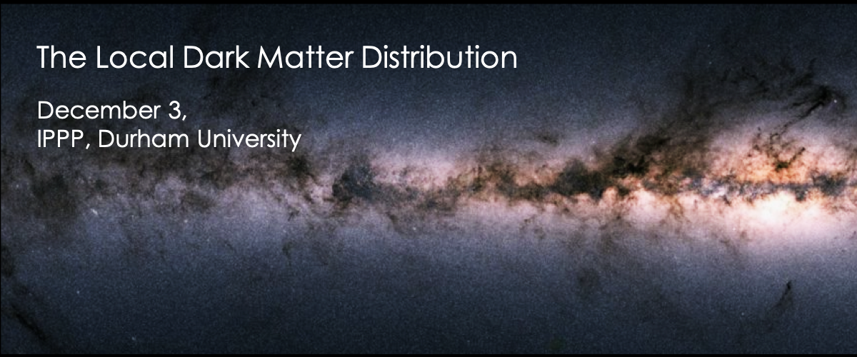 The Local Dark Matter Distributuion