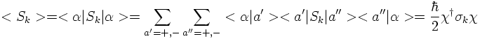 expectationvaluewithpaulimatrices