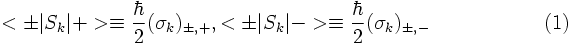 matrixlementswithpaulimatrices
