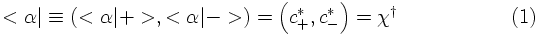 paulispinorsconj